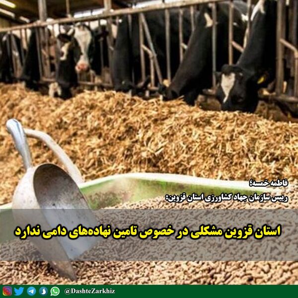 استان قزوین مشکلی در خصوص تامین نهاده‌های دامی ندارد 