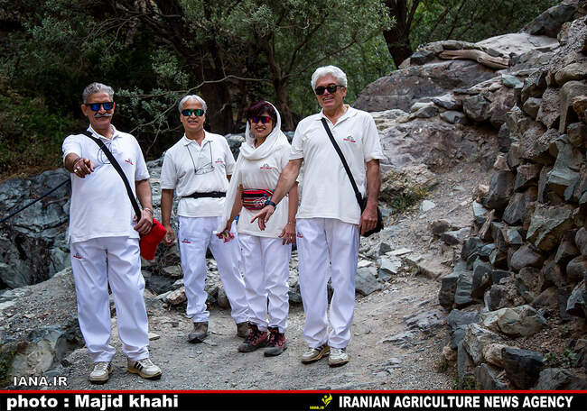 کوه پیمایی