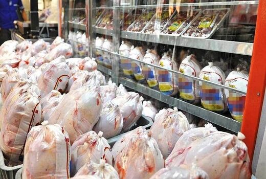 قیمت مرغ در کردستان کاهش می یابد