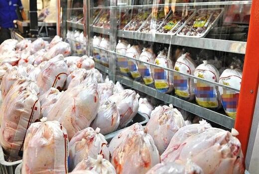 قیمت مرغ در کردستان کاهش می یابد