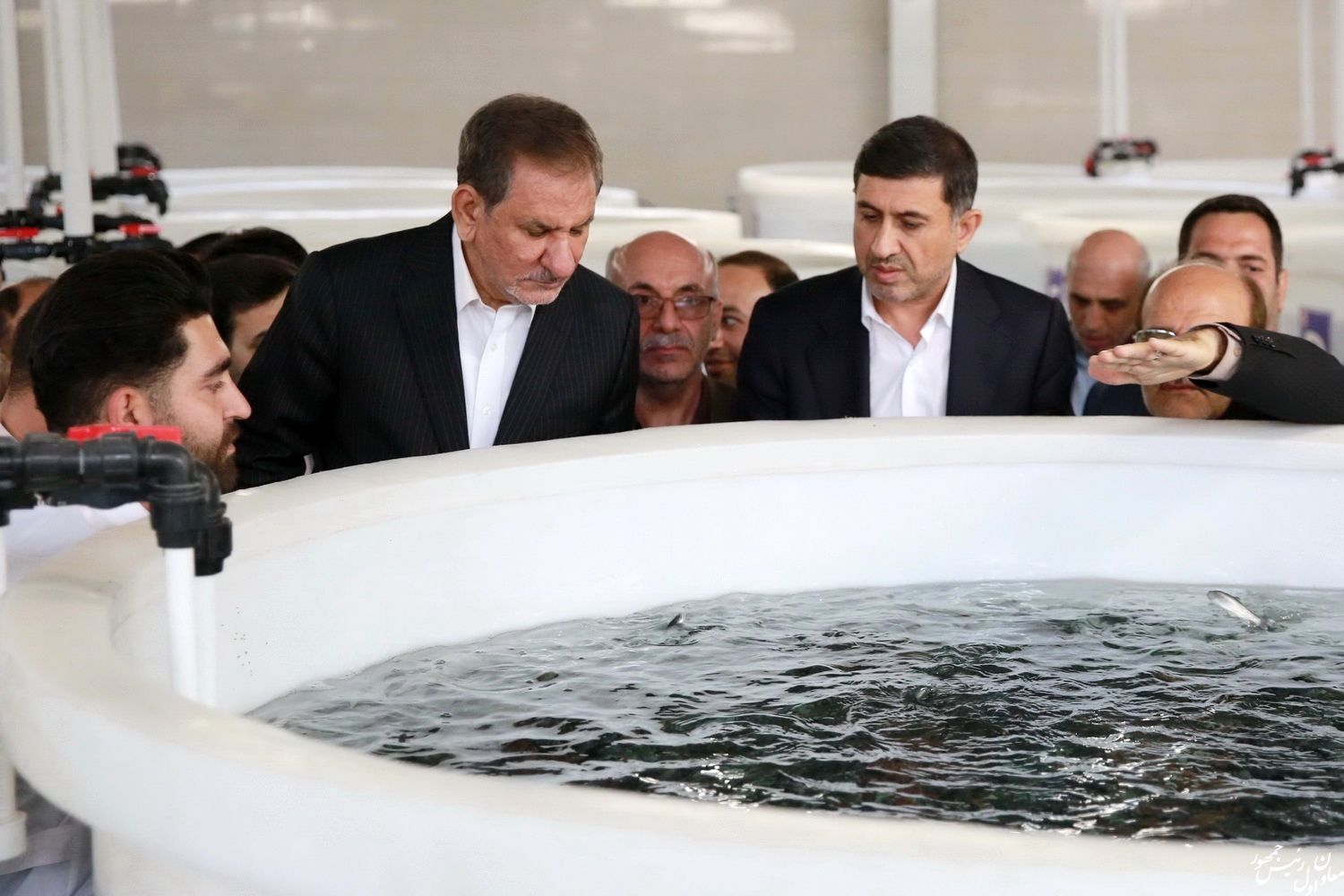 افتتاح فاز یک و دو طرح توسعه مزرعه ماهی سرای کرج / بازدید از نمایشگاه توانمندی‌های عشایری-کشاورزی البرز