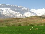 کمیته فنی بالاترین مرجع تصمیم‌گیری در اجرای طرح‌های منابع طبیعی و آبخیزداری است