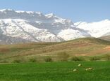 کمیته فنی بالاترین مرجع تصمیم‌گیری در اجرای طرح‌های منابع طبیعی و آبخیزداری است
