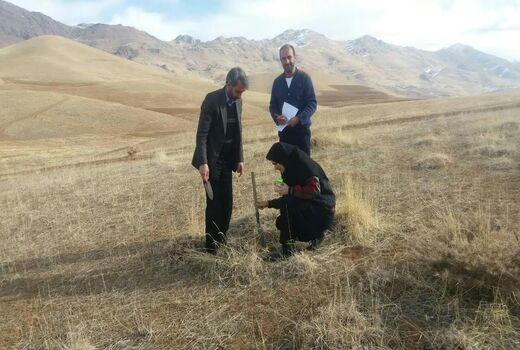 بازدید میدانی کارشناسان جهاد کشاورزی شهرستان فارسان 
