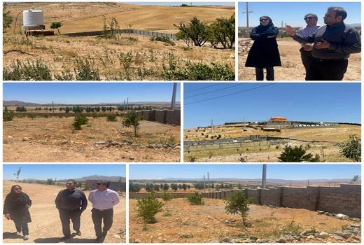 تغییر کاربری واحدها و شهرک های گلخانه ای به باغ شهری ممنوع است 