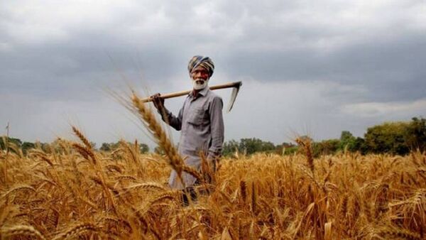 فعال‌شدن تعاونی‌ها و تشکل‌ها رمز موفقیت کشاورزی در آینده است