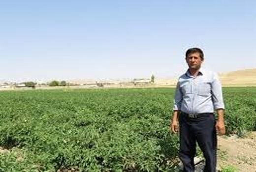 ارتقاء بهره‌وری در کشاورزی با نوآوری و دانش‌بنیانی محقق می‌شود