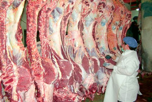بیش از ۸ هزار عملیات نظارت بهداشتی بر روند تولید و توزیع فرآورده های خام دامی