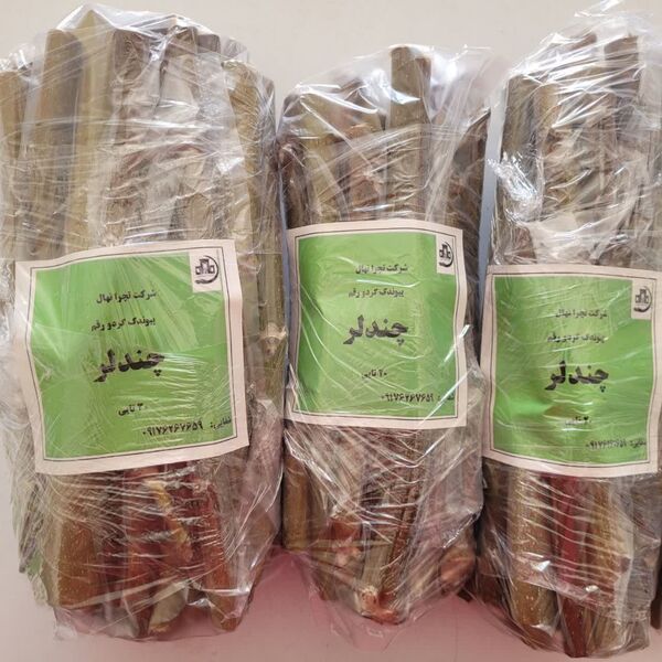 از تولید تا صادرات داخلی/ پیوندک‌های کهگیلویه‌وبویراحمد راهی 7 استان شد