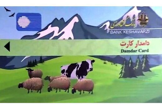 7 میلیارد تسهیلات دامدارکارت به دامداران نوشهری پرداخت شد