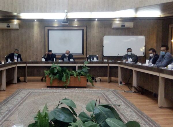 برگزاری کارگروه تخصصی آرد ونان دربیرجند