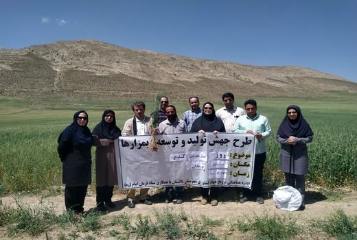 برگزاری روز انتقال یافته های تحقیقاتی در شهرستان تاکستان