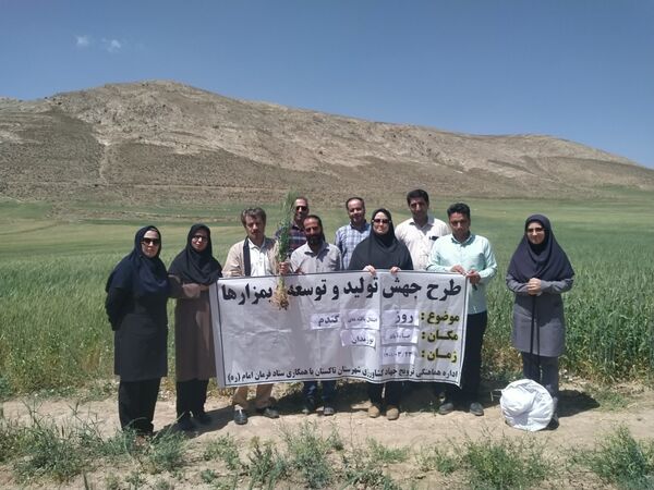 برگزاری روز انتقال یافته های تحقیقاتی در شهرستان تاکستان