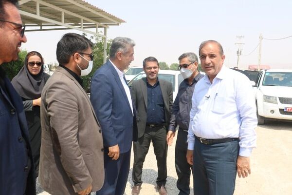 ۲۱۱ واحد گلخانه‌ای در شهرستان دشتی فعال است
