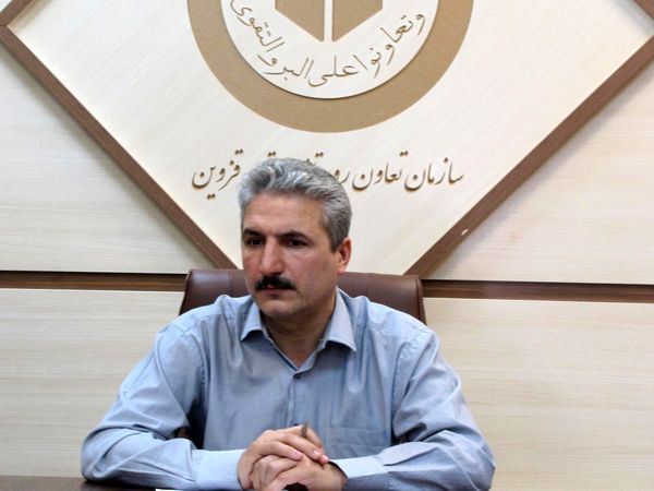 خرید تضمینی 4 هزار تن گندم از کشاورزان استان قزوین 