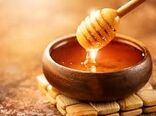 تاکید رئیس جهاد کشاورزی لرستان بر معرفی عسل منطقه به ایران و جهان