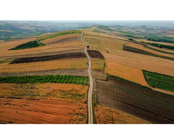 جهش تولید در 17 هزار هکتار دیمزار بهشهر