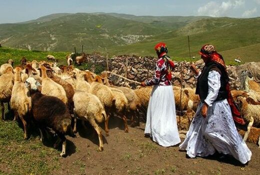 اختصاص ردیف اعتباری، اصلاح نژاد دام با اتکا به نژاد داخلی و ظرفیت دام بومی، قاچاق و رفع موانع تردد دامداران و عشایر