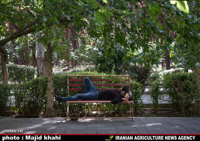 استراحت در فضای سبز شهری