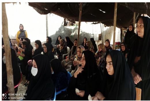 نقش مهم صندوق‌های خرد روستایی در درآمدزایی و اشتغال آفرینی