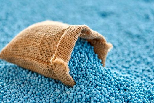 برزیل خرید کود از روسیه را افزایش می‌دهد