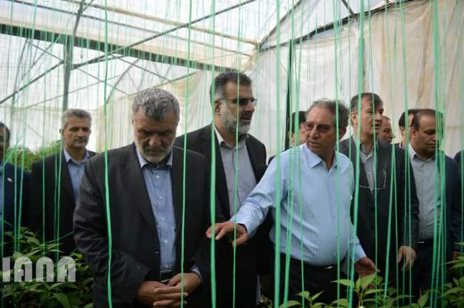 بازدید و بهره برداری پروژه های بخش کشاورزی در سفر وزیر جهاد کشاورزی به استان فارس
