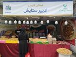 رونمایی از توانمندی‌های روستایی و عشایری استهبان در نمایشگاه ملی 