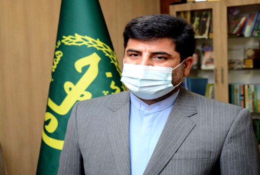 افزایش 50 درصدی قیمت خرید تضمینی دانه‌های روغنی در سال زراعی جاری