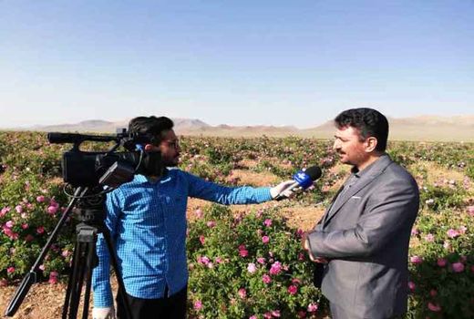 استفاده از روش‌های نوین آبیاری و تغییر الگوی کشت 