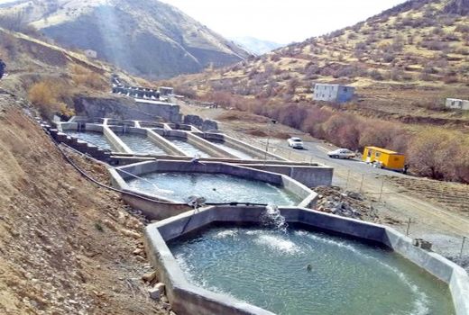 شیلات کردستان؛ از پرورش بچه‌ماهی سردآبی تا راه‌اندازی 6 تعاونی صیادی
