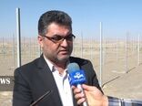 بهره برداری از گلخانه قبا سرخ بیجار تا ۲ ماه آینده
