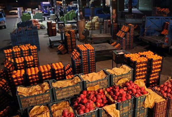 تولیدات بخش کشاورزی محور اصلی صادرات در استان کردستان