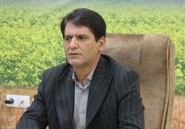 استان اردبیل حدود 85 درصد بذر ذرت کشور را تأمین می‌کند
