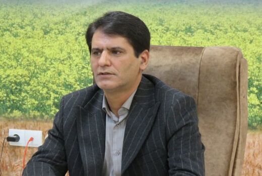 استان اردبیل حدود 85 درصد بذر ذرت کشور را تأمین می‌کند