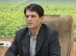 استان اردبیل حدود 85 درصد بذر ذرت کشور را تأمین می‌کند