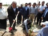 کلنگ‌زنی نیروگاه خورشیدی ۶.۵ مگاواتی نیروگاه سیکل ترکیبی جهرم