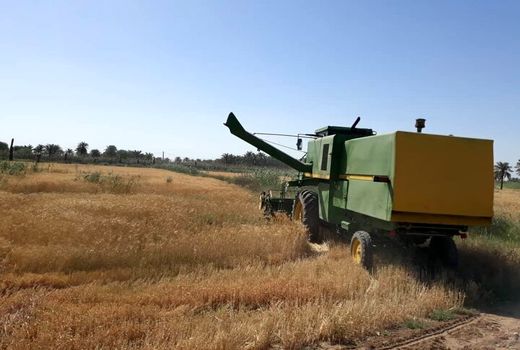 راهبرد افزایش قیمت خرید تضمینی گندم مشوق تولید پایدار