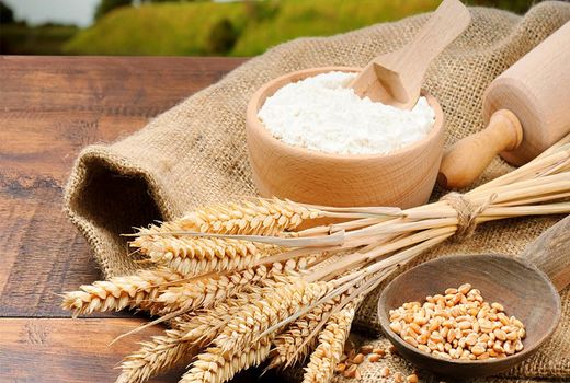 تولید آرد سبوس‌دار در چهارمحال و بختیاری/ مردم نان کامل می‌خورند