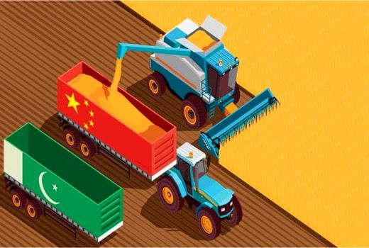 افزایش ردپای چین در صنعت کشاورزی پاکستان