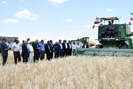 پیش‌بینی برداشت صد هزار تن گندم از انبار غله کشور