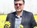 آخرین وضعیت کشت کلزا در استان گلستان