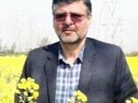 آخرین وضعیت کشت کلزا در استان گلستان