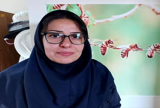 فرضیه احتمال نقش کنه تروپیلاالاپس در پدیده «لارومیری» 