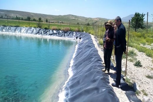 استخرهای کشاورزی به چرخه تولید آبزیان ملحق می شوند