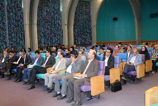 تخم‌مرغ؛ طلای زرد و سفید در سفره‌ها