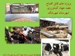 بهره برداری از 13 طرح کشاورزی و دامپروری شهرستان شهربابک در هفته جهاد کشاورزی 