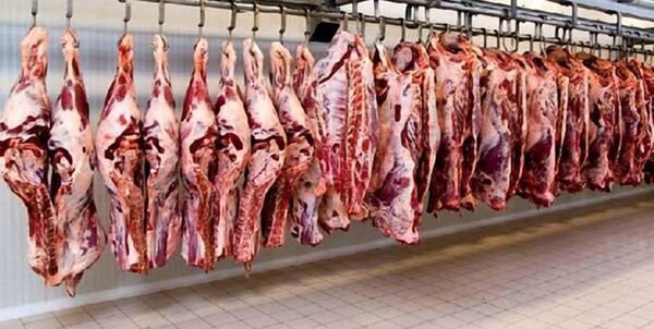 افزایش قیمت گوشت قرمز در اصفهان دوام نخواهد داشت