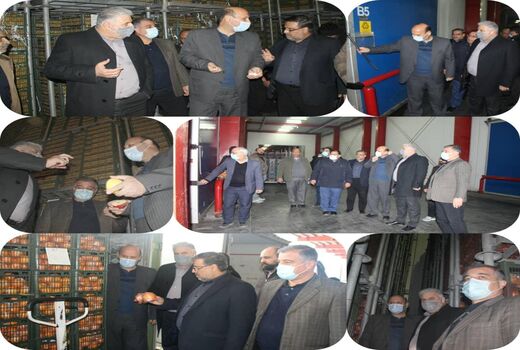 بررسی روند اجرای تنظیم بازار میوه ایام پایانی سال و نوروز 1401 در استان تهران