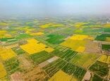تفسیر 46 پلاک در کمیته تفسیر خوزستان