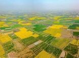 تفسیر 46 پلاک در کمیته تفسیر خوزستان